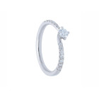 Anello solitario con pietra singola ed altre pietre (BBA680 SI)
