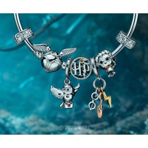 Pandora Harry Potter (0)