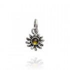 Charm Margherita Color