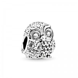 Pandora Moments Charm Incantevoli Gufi