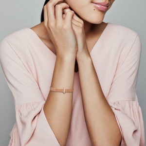 Pandora Reflexions Charm Luminosità Senza Tempo